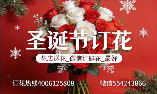 保定定兴县花店送花_微信订鲜花_圣诞节订花_最好? 保定定兴县花店