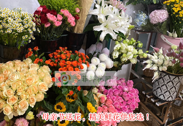 2024定兴县母亲节送花,定兴县精美鲜花供您选!