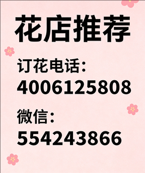 保定定兴县花店哪家好