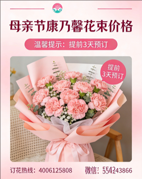 保定定兴县花店母亲节康乃馨花束