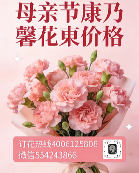 保定定兴县花店母亲节康乃馨花束